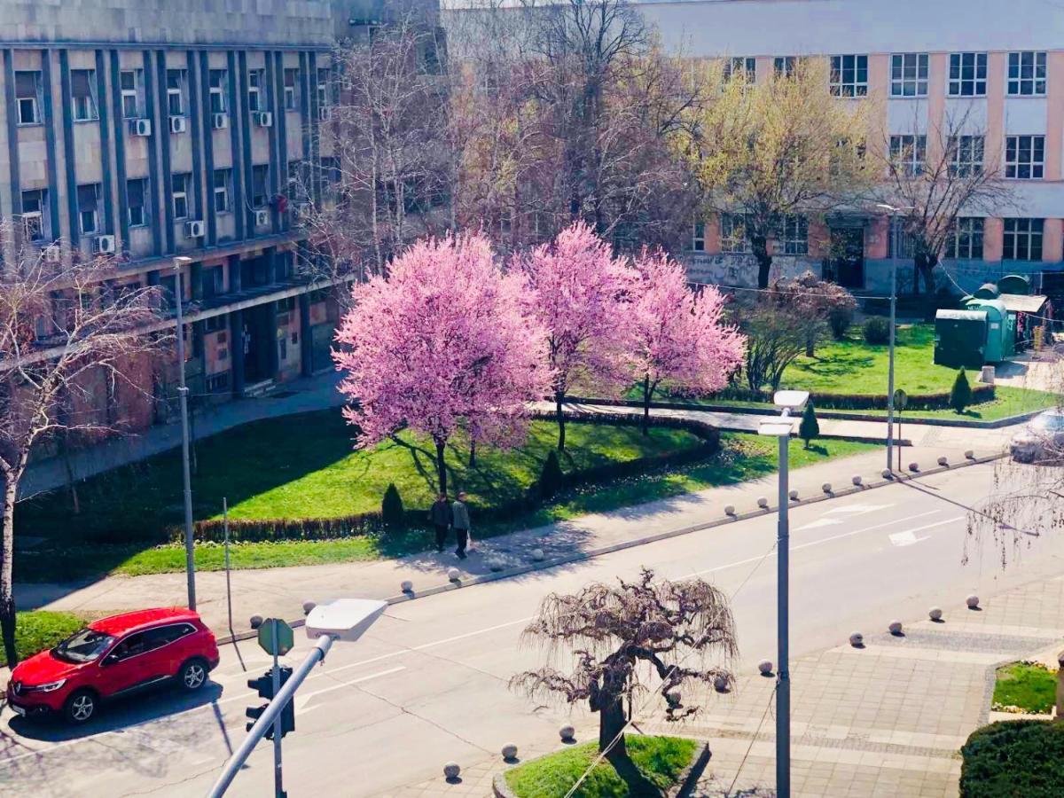 Bella Studios Krusevac Ngoại thất bức ảnh